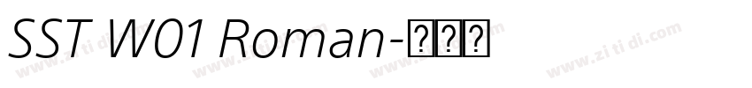 SST W01 Roman字体转换